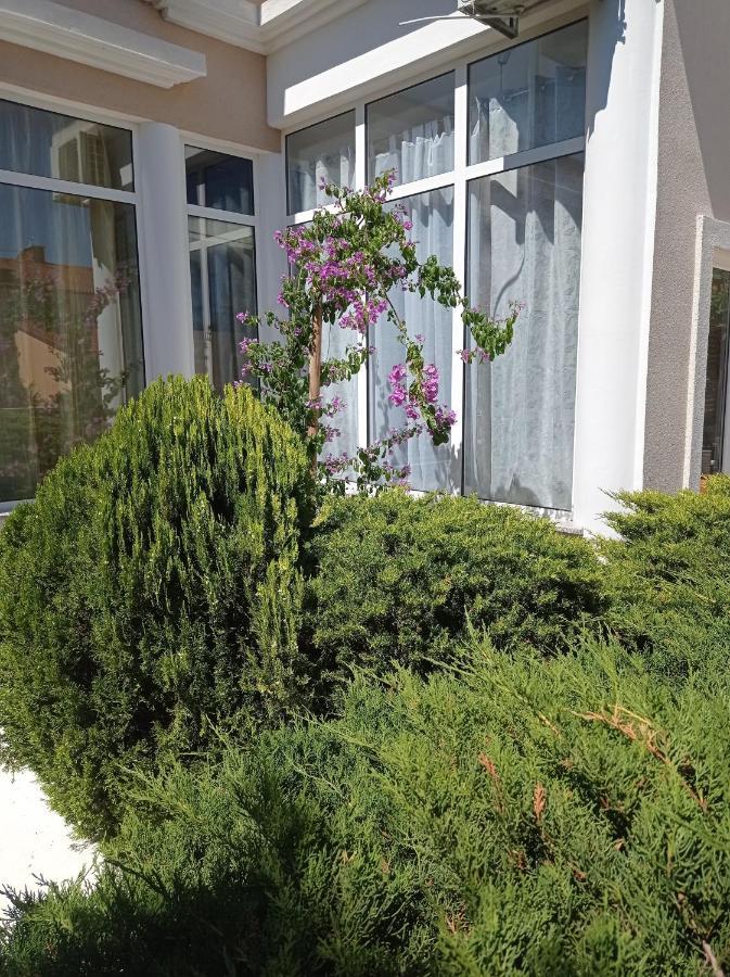 Villa Gregovica &T 2 Pula Exterior foto