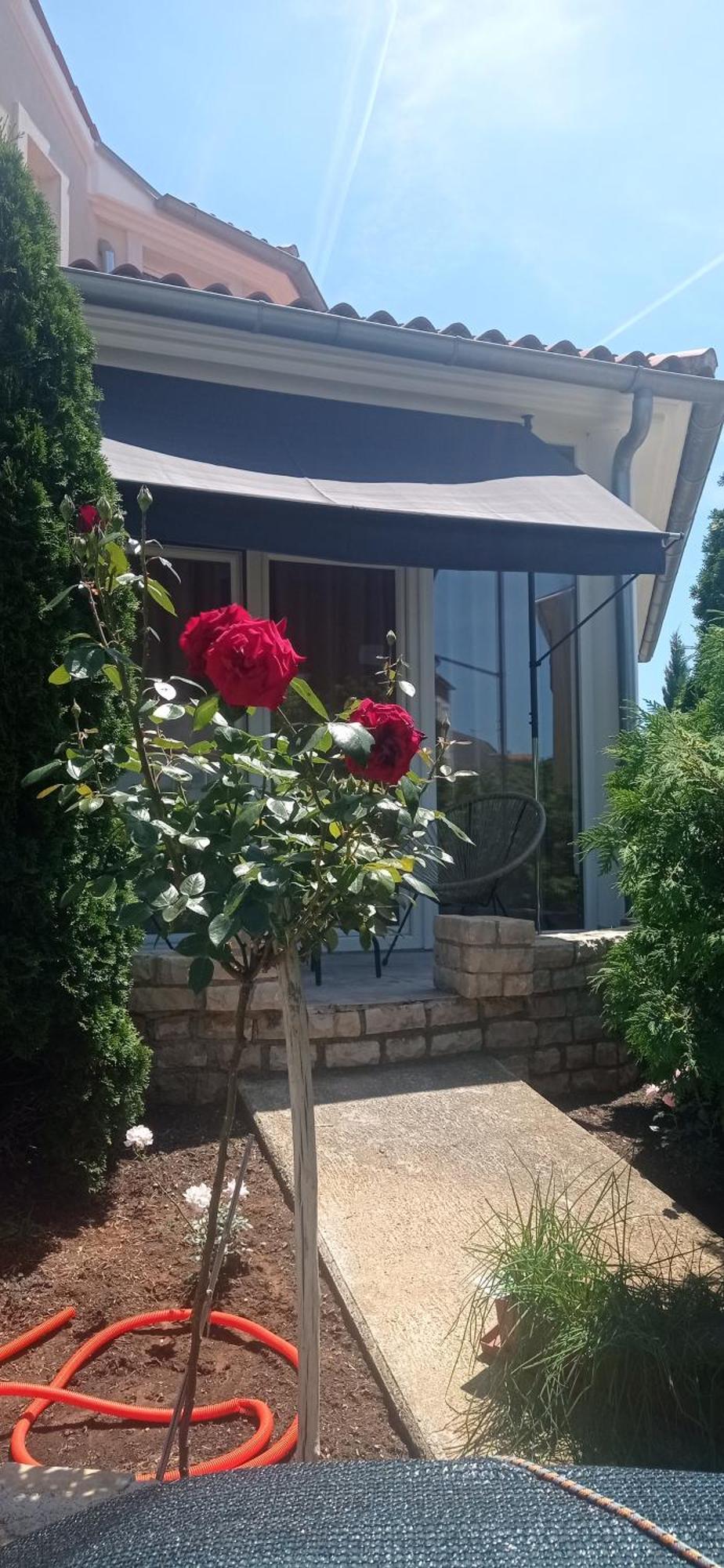 Villa Gregovica &T 2 Pula Exterior foto
